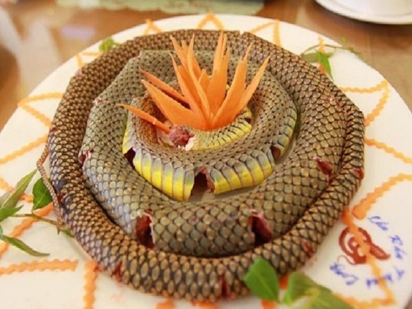 Mơ thấy ăn thịt rắn điềm báo lành hay dữ?