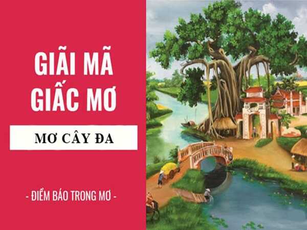 Nằm mơ thấy cây đa